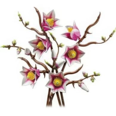 Конструктор Гілки магнолії LEGO Botanicals 11510
