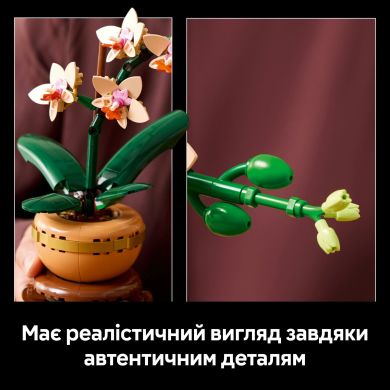 Конструктор Міні орхідея LEGO Botanicals 10343