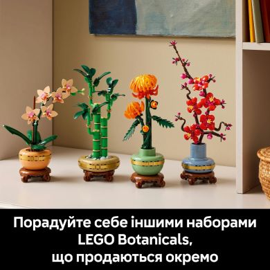 Конструктор Міні орхідея LEGO Botanicals 10343