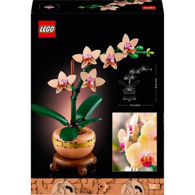 Конструктор Міні орхідея LEGO Botanicals 10343