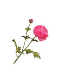 Цветок искусственный Лютик желто-розовый 65 см. Silk-ka 138128