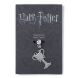 Підвіска талісман Triwizard Cup, Harry Potter Гаррі Поттер EHP0051