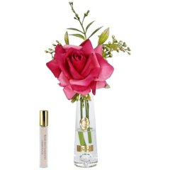 Аромат для помещений Летняя роза Magenta, высок.стакан Cote noire SRG07