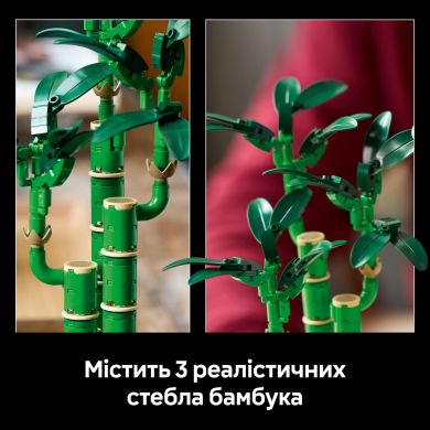 Конструктор Бамбук счастья LEGO Botanicals 10344