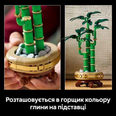 Конструктор Бамбук счастья LEGO Botanicals 10344