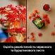 Конструктор Бонсай з японського червоного клена LEGO Botanicals 10348
