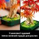 Конструктор Бонсай з японського червоного клена LEGO Botanicals 10348