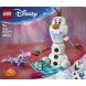 Конструктор LEGO Disney Princess Веселье на пикнике Олафа и Бруни 43287