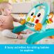 Интерактивные ходунки Пингвеня Fisher-Price JHF74