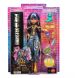 Кукла Клео Монстро-классика Monster High &ndash; новая ночь JHK32