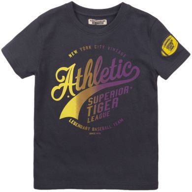 Футболка DJ Dutchjeans сіра для хлопчиків р. 140 E38166-45