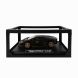 Іграшка автомобіль Lamborghini (звук,світло), 1:24 MY66-M5263W