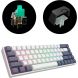 Игровая клавиатура DARK PROJECT KD68B Mechanical G3MS ENG/RUS Белый / Темно-синий KB-GSH-682-701004