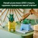 Конструктор Счастливые растения LEGO Botanicals 10349