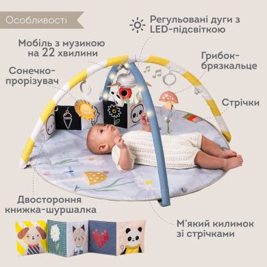Музыкальный коврик с развивающими дугами коллекции Цветущая фантазия СОЛНЕЧНЫЕ НОТЫ 13495