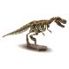 Набор Ses Creative Исследователь Раскопки скелета Тираннозавра 25028S