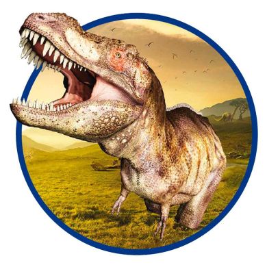 Набір Ses Creative Дослідник Розкопки скелета Тиранозавра 25028S