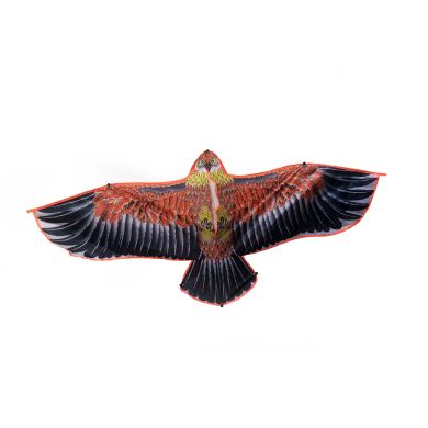 Воздушный змей «Орел» Shantou F1065