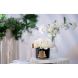 Аромат для помещений 5 Роз Pink Blush в прозрачном стакане, Black Glass Cote noire GMRB62