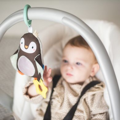 Розвиваюча іграшка-підвіска Taf Toys Полярне сяйво Принц-пингвинчик 12305, Сірий