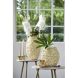 Декоративна ваза &Oslash;28x29 см AGELLO кремова Light&Living 5706943