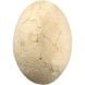 Игрушка для имитации раскопок Dino Mega Egg - Мега яйцо BUKI FRANCE 2137