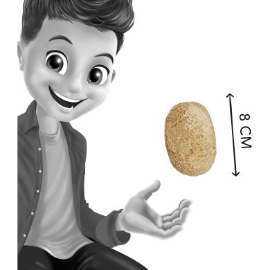 Игрушка для имитации раскопок в форме яйца BUKI FRANCE D6O