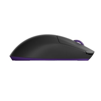 Игровая мышь беспроводная DARK PROJECT Novus Pro (DPP_Novus_PRO_BB)