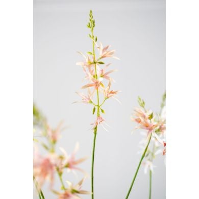 Крокосмия, ветка, розово-зеленая, 95 см. Silk-ka 160354