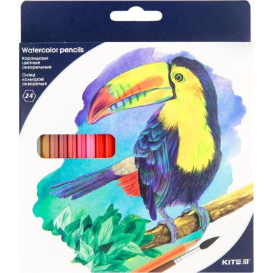 Карандаши цветные акварельные, 24 шт. Kite Птицы KITE K18-1050