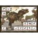 Игрушка для имитации раскопок в форме яйца BUKI FRANCE 2138