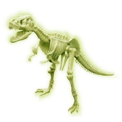 Набір для досліджень Сяючий скелет тираннозавра 4M 00-03420