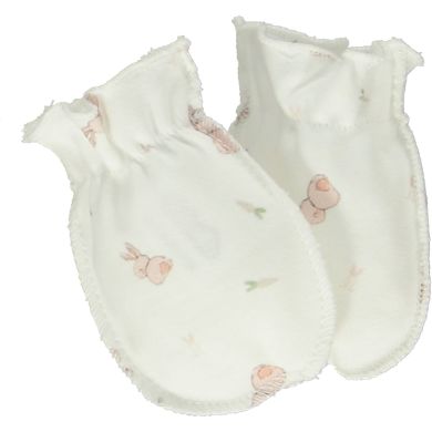 Набор одежды из 5 предметов для новорожденных SWEET EARS Bebetto 0-3м/62см Z 761