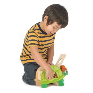 Іграшка з дерева Сортер-черепаха Tender Leaf Toys TL8456, Зелений