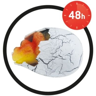 Игрушка яйцо-сюрприз BUKI FRANCE D6G