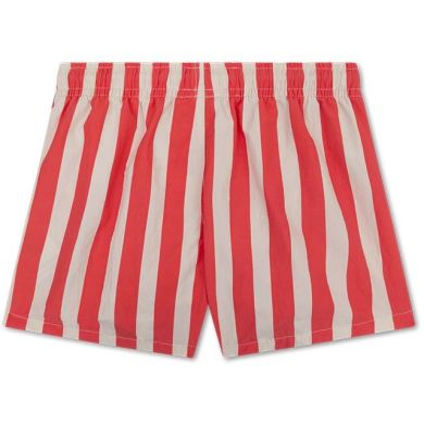 Шорты для плавания с подкладкой 86/92 Lobster Stripe Swim Essentials 2025SE335