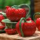 Глечик 2,75 л Tomato Bordallo Pinheiro 28x29.5x20.3cm 65026853