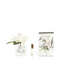 Аромат для помещения роза Pink Blush Cote noire GMR02