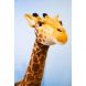 Мягкая игрушка Hansa Creation Жираф 165 см 3668