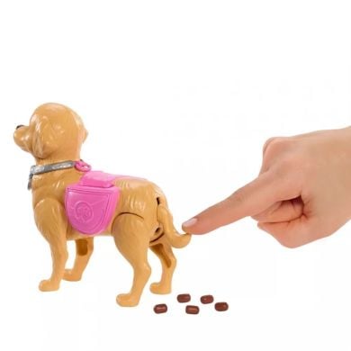 Набор Barbie Прогулка с собачкой JJB46