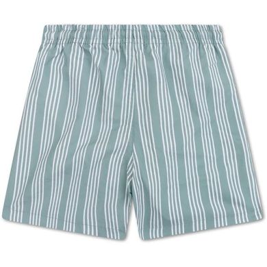 Плавки-шорты Resort Полоски 110/116 Swim Essentials 2024SE1512
