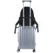 Рюкзак GoPack Education Teens 2510M черный GO26-2510M-1