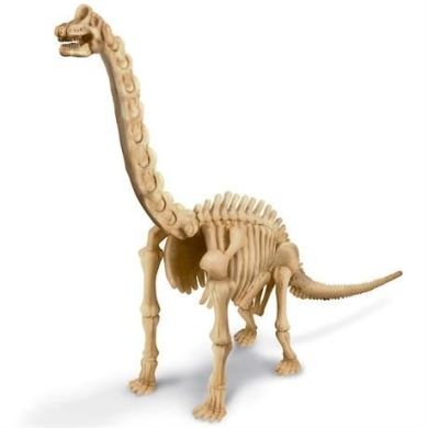 Набір для розкопок 4M Скелет брахіозавра 00-03237