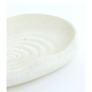 Тарілка 37x25x5 см ALAINA, біла Light&Living 6357143