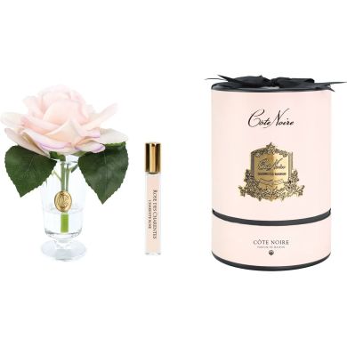 Аромат для приміщень Троянда Charente Pink у прозорій склянці Cote noire CHR15