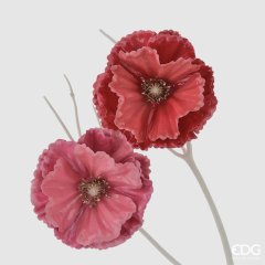 Декоративна квітка мака EDG D10 681261,55