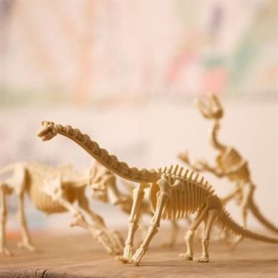 Набір для розкопок 4M Скелет стегозавра 00-03229