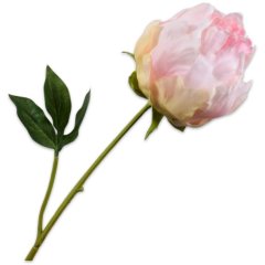 Півонія, стебло, персикова, 58 см Silk-ka 154875