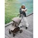 Прогулянкова коляска Anex RIDE RD-01 CHROME 8885020504149 