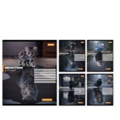 Тетрадь школьная 1В Inner strength А5/24 листы клетка 1 Вересня 768960